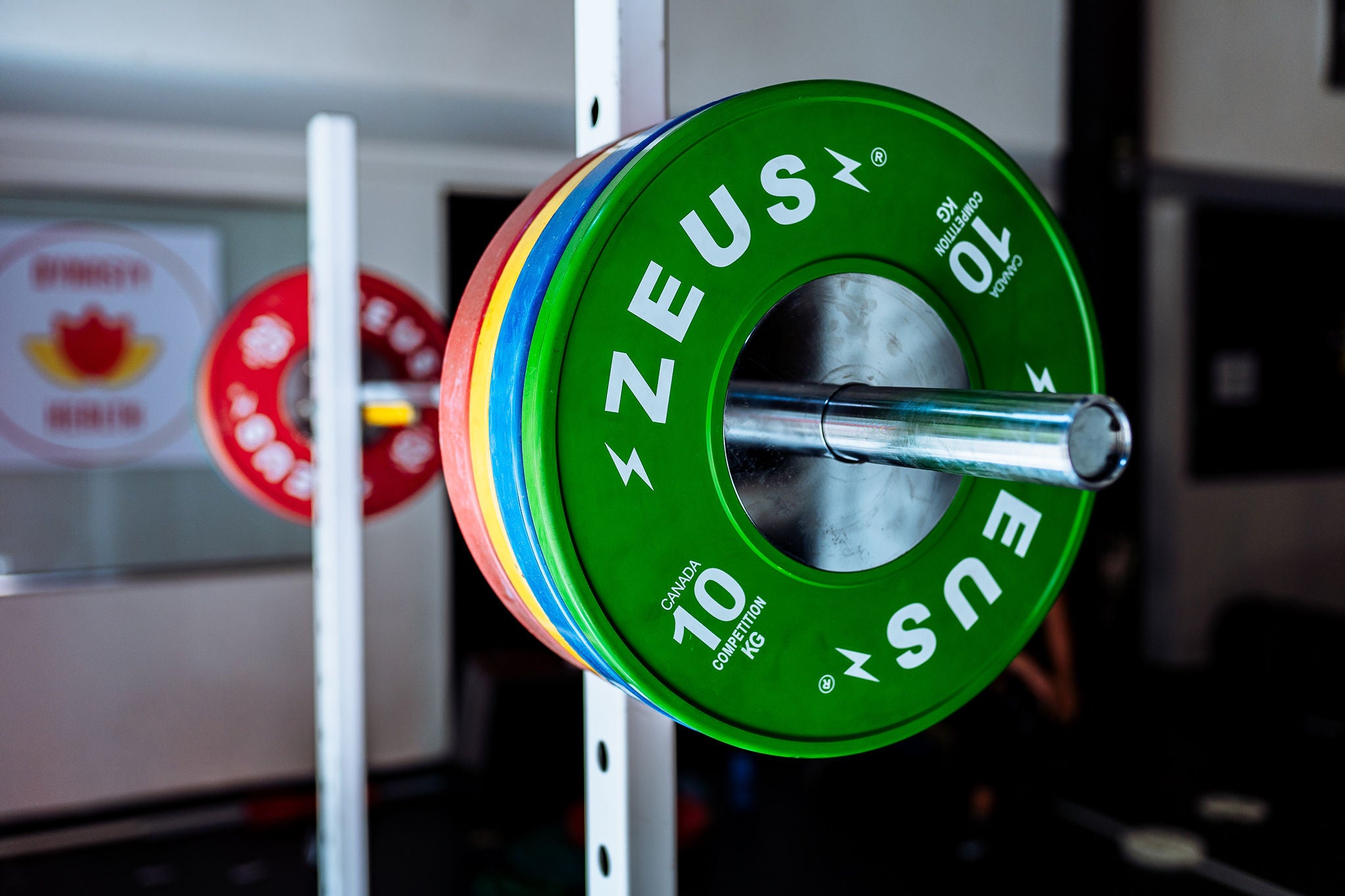 Rogue canada 2024 bumper plates